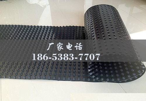排水板廠(chǎng)家http://www.kaishunjituan.com/